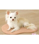 Self-Heating Small Mat for Dogs and Cats, Peach