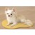 Self-Heating Small Mat for Dogs and Cats, Yellow
