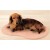 Self-Heating Medium Mat for Dogs, Peach