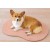 Self-Heating Large Mat for Dogs, Peach